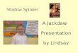 Shadow Spinner A Jackdaw Presentation by Lindsay