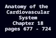 Anatomy of the Cardiovascular System Chapter 18 pages 677 - 724