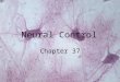 Neural Control Chapter 37. I.Nervous Systems A.two kinds of generalized cells 1.neurons a.basic cells of the nervous system; nerve cells one of the four