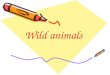 Wild animals. LEOPARD The Leopard is a big animal with four strong paws, a long tail and short ears. His fur coat is brown and yellow. It is short and