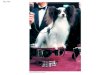 Fig. 9-0a. Fig. 9-0b Ancestral canine Chinese Shar-Pei Akita Basenji Siberian Husky Alaskan Malamute Rottweiler Sheepdog Retriever Afghan hound Saluki