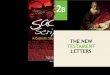 Sacred Scripture: A Catholic Study of God’s Word  Letters Attributed to Paul  St. Paul: The Source of the New Testament Letters  The Thirteen New Testament