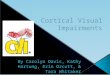 Cortical visual impairment (CVI) occurs when there is damage to the visual cortex, and/or the posterior visual pathways within the brain. The eye generally