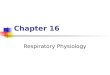 Chapter 16 Respiratory Physiology. Copyright © The McGraw-Hill Companies, Inc. Permission required for reproduction or display. Respiration The term respiration