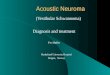 Acoustic Neuroma (Vestibular Schwannoma) Diagnosis and treatment Per Møller Haukeland University Hospital Bergen, Norway