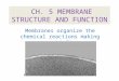 CH. 5 MEMBRANE STRUCTURE AND FUNCTION Membranes organize the chemical reactions making up metabolism