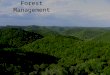 Forest Management. 