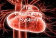 The Circulatory System. Functions of the Circulatory system 1.Transportation of water, Oxygen, CO2 2.Distribution of nutrients 3.Maintenance of body temp