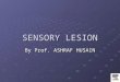 SENSORY LESION By Prof. ASHRAF HUSAIN. Sensory Pathway Lesions