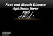 Foot and Mouth Disease Aphthous fever FMD الحمى القلاعية Foot and Mouth Disease Aphthous fever FMD الحمى القلاعية Bibliotheca Alexandrina 18/3/2012