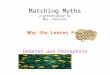 Matching Myths a presentation by Mrs. Palacios Why the Leaves Fall Demeter and Persephone