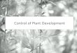 Control of Plant Development. Plant growth regulators (PGRs) plant hormones that affect the rate of division, elongation and differentiation of plant