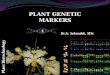 PLANT GENETIC MARKERS Plant Biotechnology Dr.Ir. Sukendah, MSc