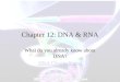 Chapter 12: DNA & RNA What do you already know about DNA? DNA Clearly Stated