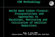 CDM Methodology World Bank Carbon Finance: Interpretations and Approaches to Baselines, Monitoring and Calculation of Emission Reductions Bonn, 6 June