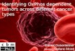 Identifying OxPhos dependent tumors across different cancer types Daniel Gusenleitner Adviser: Stefano Monti