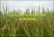 Genetically modified food (GM food) Lesson 1, 2: Introduction of the GM food