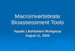 Macroinvertebrate Bioassessment Tools Aquatic Life/Nutrient Workgroup August 11, 2008
