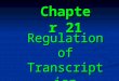 Chapter 21 Regulation of Transcription. 21.1 Introduction 21.2 Response elements identify genes under common regulation 21.3 There are many types of DNA-binding