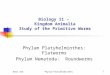 BIOL 316Phylum Platyhelminthes1 Biology 11 – Kingdom Animalia Study of the Primitive Worms Phylum Platyhelminthes: Flatworms Phylum Nematoda: Roundworms