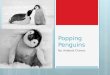Popping Penguins By: Anabela Chavez Penguin Characteristics  Penguins are a type of bird.  They are black and white and some have yellow on their faces