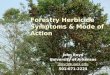 1 Forestry Herbicide Symptoms & Mode of Action John Boyd University of Arkansas jboyd@uaex.edu 501-671-2224