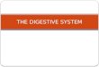 THE DIGESTIVE SYSTEM. DIGESTIVE SYSTEM ASSIGNMENT In a group of 3 or 4 you are to create an information handout of a particular structure of the digestive