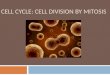 CELL CYCLE: CELL DIVISION BY MITOSIS. Cell Cycle