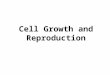 Cell Growth and Reproduction. 1. The Cell Cycle A.The cell cycle involves the growth, replication, and division of a eukaryotic cell. B.The two main phases