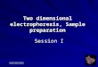 Two dimensional electrophoresis, Sample preparation Session I 台大生技教改暑期課程