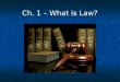 Ch. 1 – What is Law?. Rules created and enforced by a government to regulate the conduct of people Rules created and enforced by a government to regulate