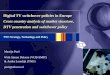 TNO Strategy, Technology and Policy Digital TV switchover policies in Europe Cross country analysis of market structure, DTV penetration and switchover