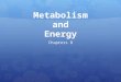 Metabolism and Energy Chapters 8. Metabolism and Energy  Metabolism  Catabolism  Anabolism  Bioenergetics  Energy  Kinetic  Heat/Thermal  Light