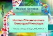 Human Chromosomes: Genotype/Phenotype Muhammad Faiyaz-Ul-Haque, PhD, FRCPath Human Chromosomes: Genotype/Phenotype Muhammad Faiyaz-Ul-Haque, PhD, FRCPath