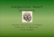 Congenital Heart Diseases Charles University of Prague 2 nd Faculty of Medicine Filip Koubek