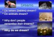 DreamsDreams  Do bébés (babies) dream?  Do animals dream?  Why don’t people remember their dreams? remember their dreams?  Why do we dream?