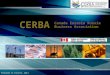 CERBA Canada Eurasia Russia Business Association Prepared in Toronto, 2011