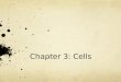 Chapter 3: Cells. Composite Cell All cells vary in size, shape, content, and function Composite cell includes many of the known cell structures Cells