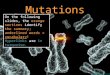Image Accessed 01/04/2011 Mutations On the following slides, the orange sections identify the summary; underlined words = vocabulary! Hyperlinks are in