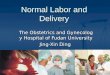 Normal Labor and Delivery The Obstetrics and Gynecology Hospital of Fudan University Jing-Xin Ding