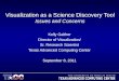 Visualization as a Science Discovery Tool Issues and Concerns Kelly Gaither Director of Visualization/ Sr. Research Scientist Texas Advanced Computing