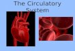 The Circulatory System. Transport System Just like Nervous System is your body’s “Control Center,” Your Circulatory System has an important job. It is