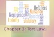Chapter 3: Tort Law. Tort Wrongs for which the wrongdoer can be sued. –A person who punches another person and injures them can be sued for the tort of