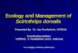 Ecology and Management of Scirtothrips dorsalis Contributing Authors: UF/IFAS: J. Funderburk, and L. Osborne A.C. Hodges, UF/IFAS, SPDN (ed.) Presented