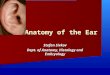 Anatomy of the Ear Stefan Sivkov Dept. of Anatomy, Histology and Embryology