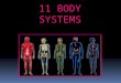 11 BODY SYSTEMS. Skeletal System Provides Shape and structure to the body. Allows for movement. Protects vital organs. Produces blood cells. Stores minerals