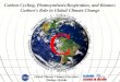 Carbon Cycling, Photosynthesis/Respiration, and Biomes: Carbon’s Role in Global Climate Change Global Climate Change Education: Biology Module C