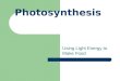 Photosynthesis Using Light Energy to Make Food Photosynthesis Plants use energy to change carbon dioxide and water into glucose and oxygen (waste product)