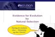 2006-2007 Evidence for Evolution by Natural Selection Hunting for evolution clues… Elementary, my dear, Darwin!