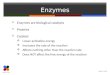 Slide 1 of 50 Enzymes  Enzymes are biological catalysts  Proteins  Catalyst  Lower activation energy  Increases the rate of the reaction  Affects